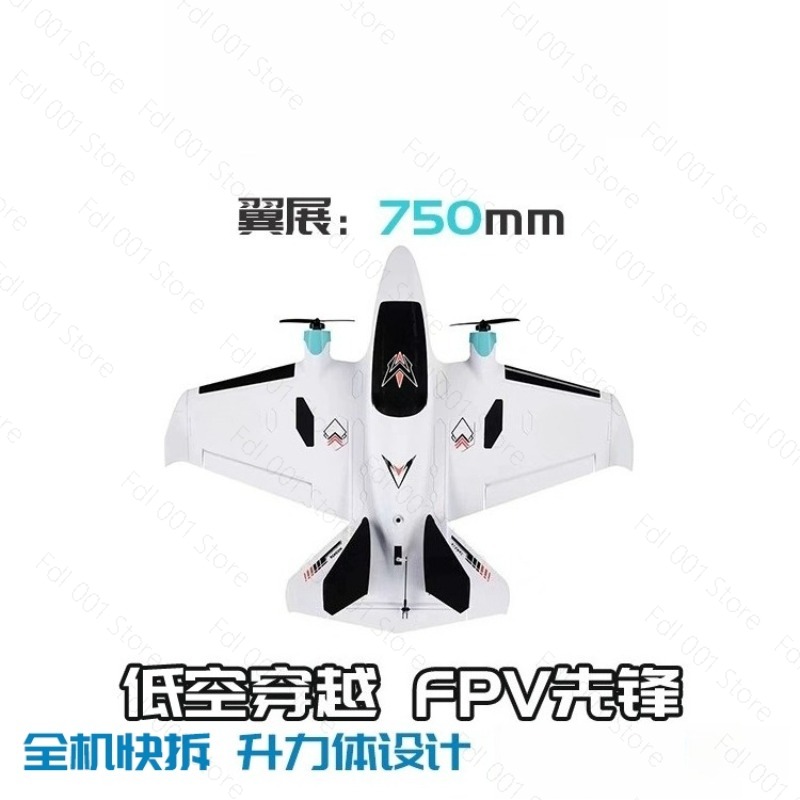 Dual-Motor FPV RC-Flugzeug mit – Drone With Rc Bewertung und Preis